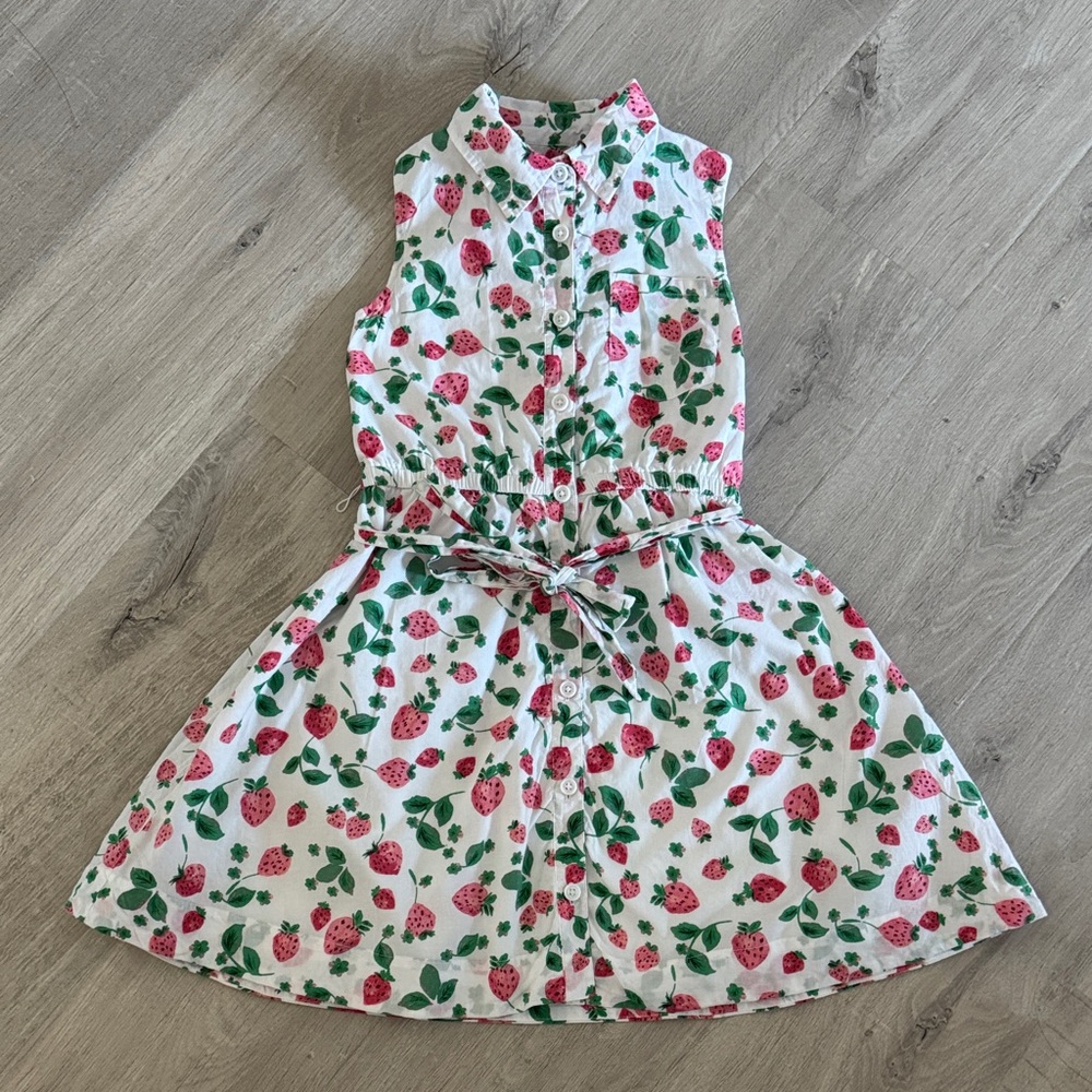 J.Crew crewcuts Sleeveless strawberry Kids Dres
